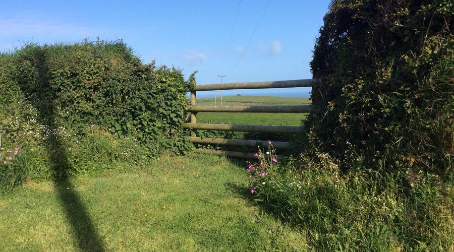 Stoke Barton farm campsite