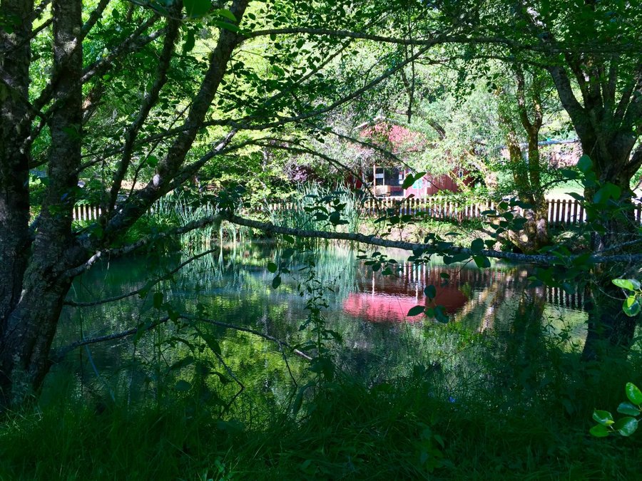 Escape to Sleepy Hollow: Your Northern California RV Adventure Awaits!