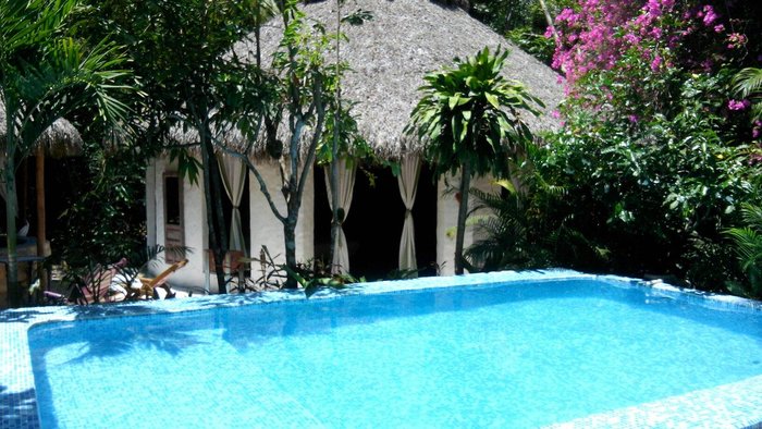 CONTACTO NATURAL - Prices & Guest house Reviews (Puerto Vallarta, Mexico)