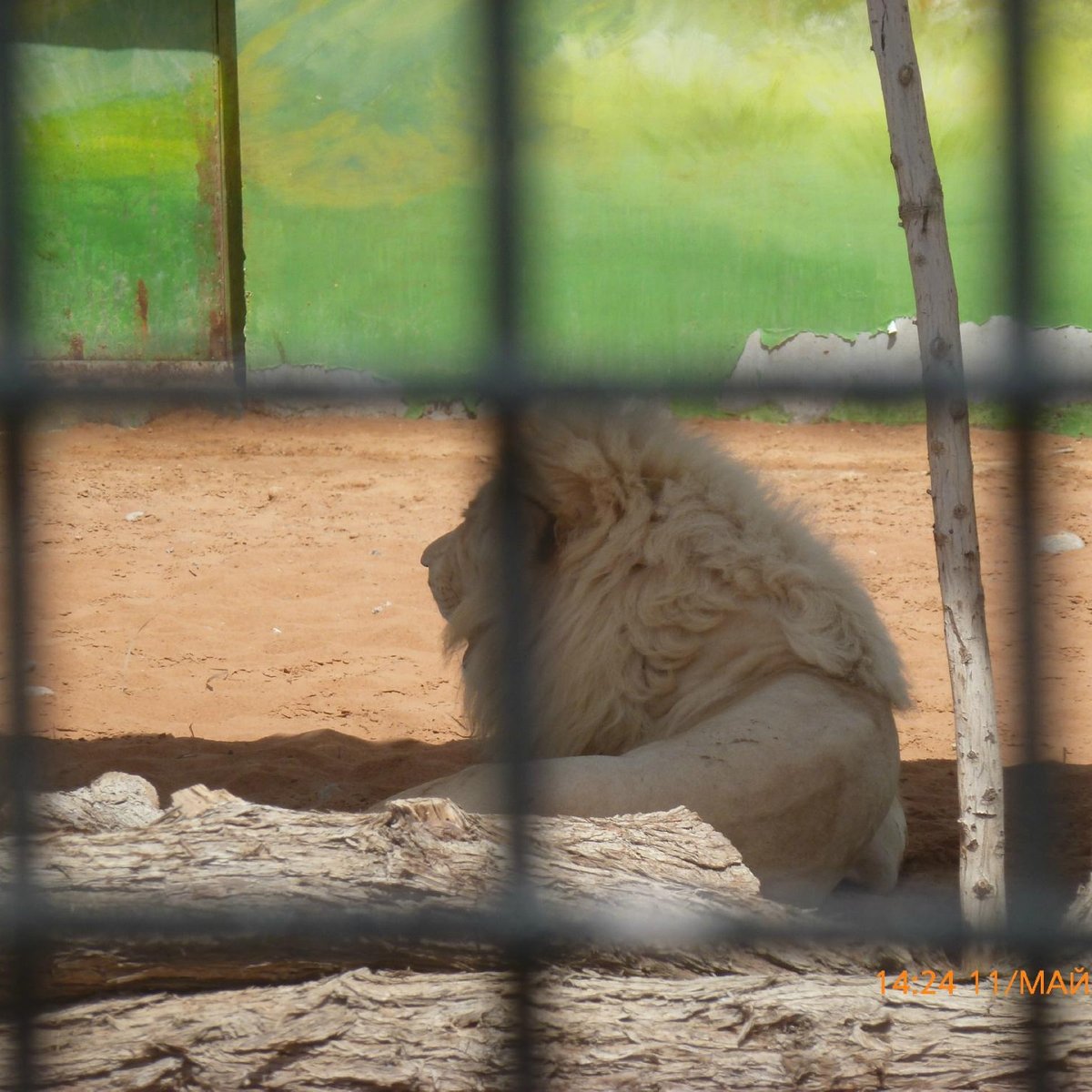 Rak Zoo, Рас эль-Хайма: лучшие советы перед посещением - Tripadvisor