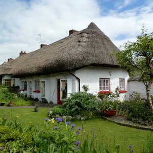thatched roof house