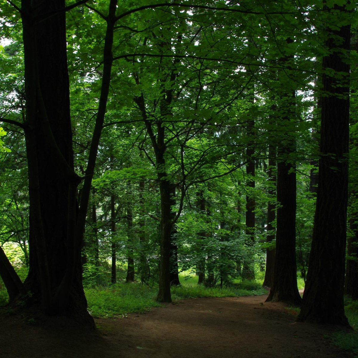 Mount Tabor Park