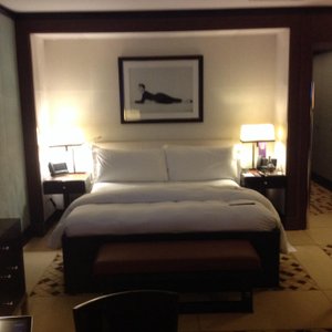 Park Lane Mayfair, hotel in London