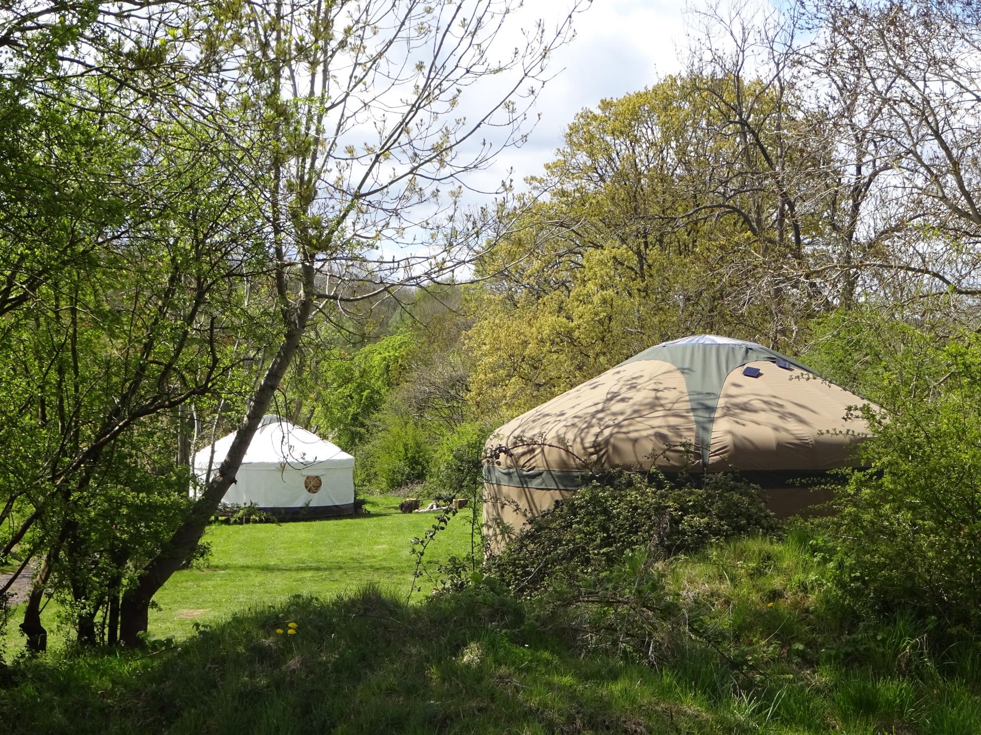 Mrs clearance mills yurts