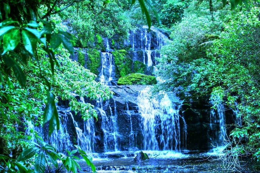 Purakaunui Falls Walk image