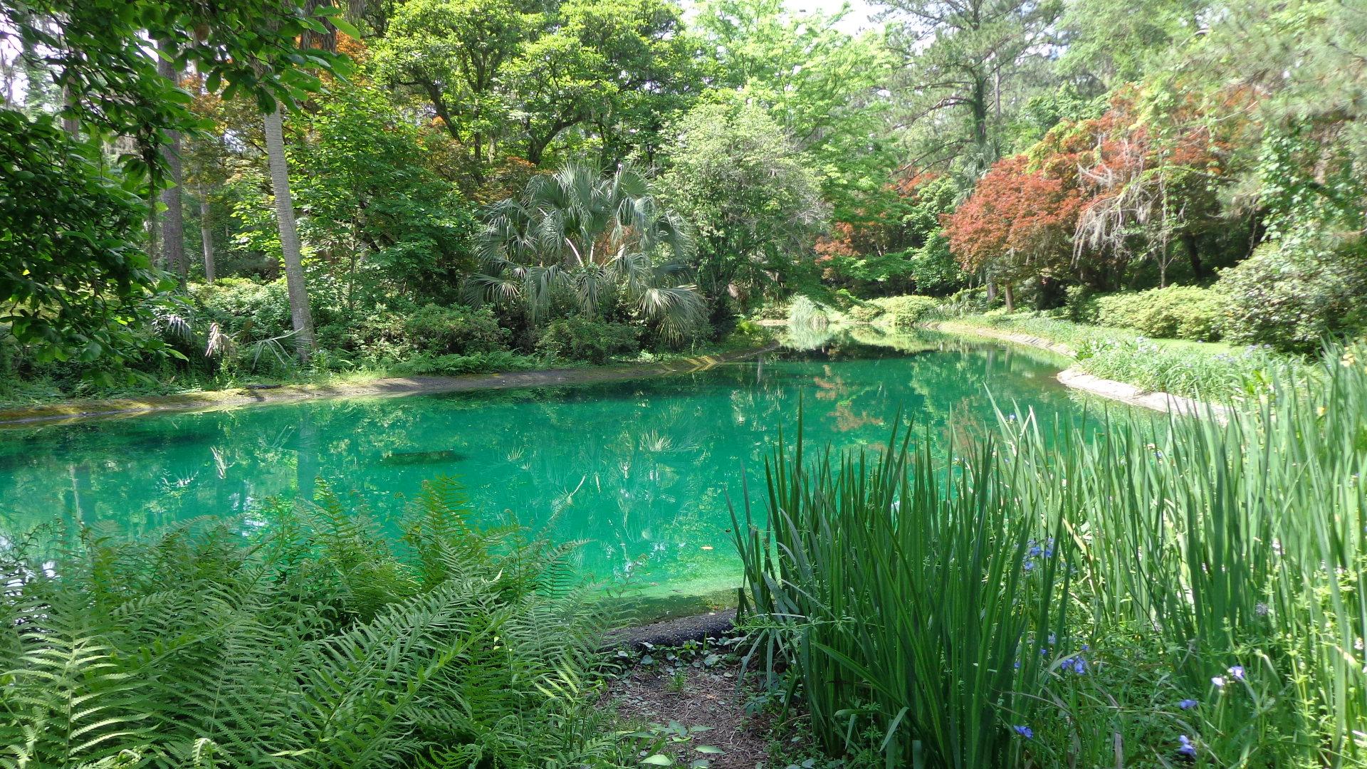 ALFRED B. MACLAY GARDENS STATE PARK (Tallahassee): All You Need To Know