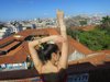 marlpzlpz