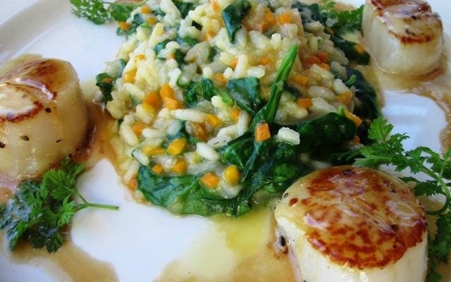 Seared Scallops