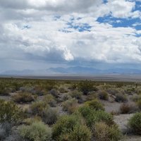 Desert National Wildlife Refuge (Las Vegas) - All You Need to Know ...