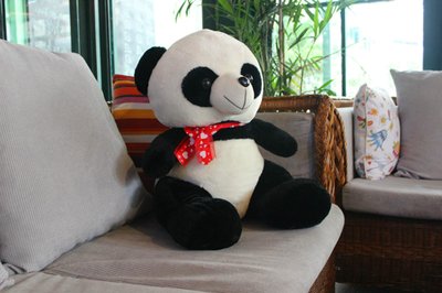 Hotel photo 24 of Chengdu Mrs Panda Hostel.