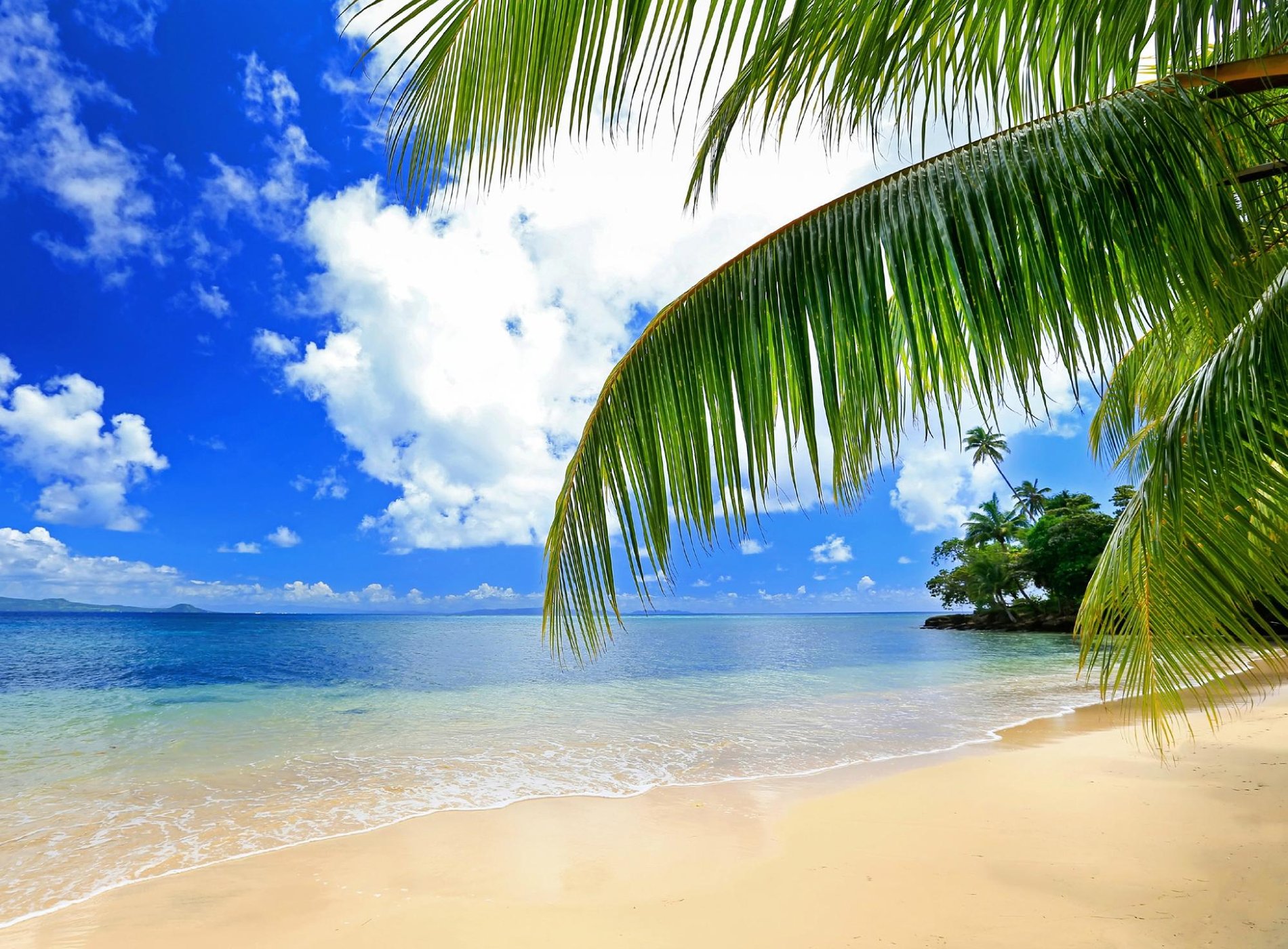 Matangi Private Island Resort by null
