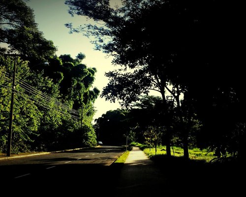 São Carlos Clube Trilha da caminhada - São Paulo, Brasil