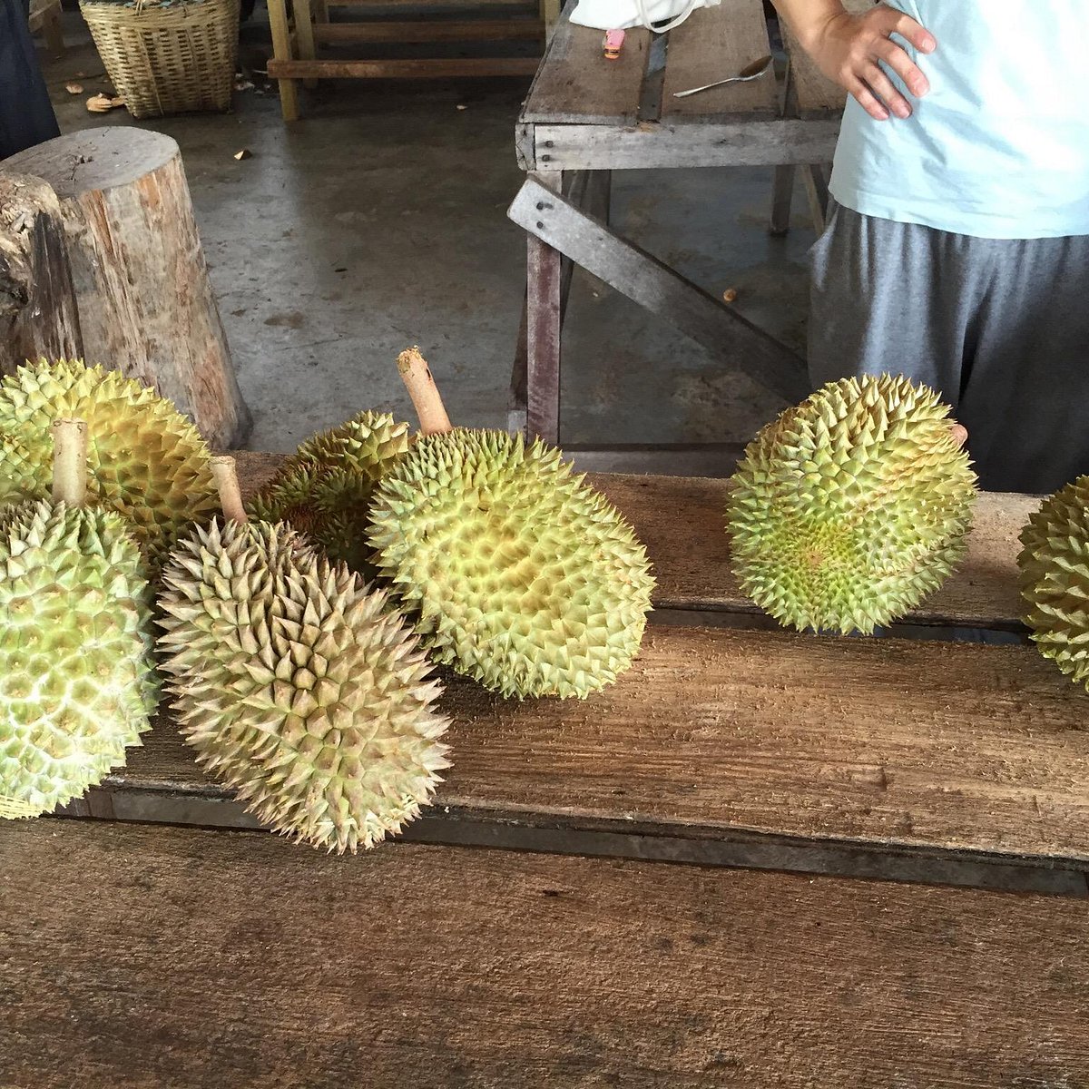 bao sheng durian farm tour