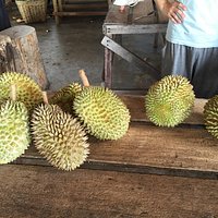 Bao Sheng Durian Farm