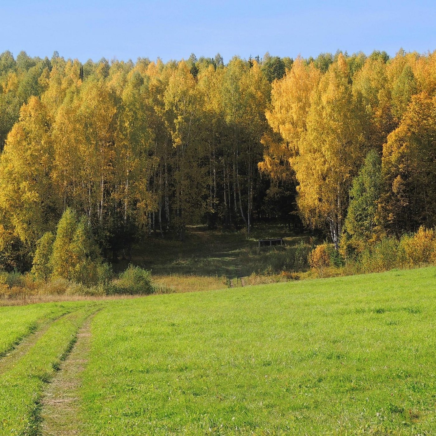 Кушва 2024: все самое лучшее для туристов - Tripadvisor