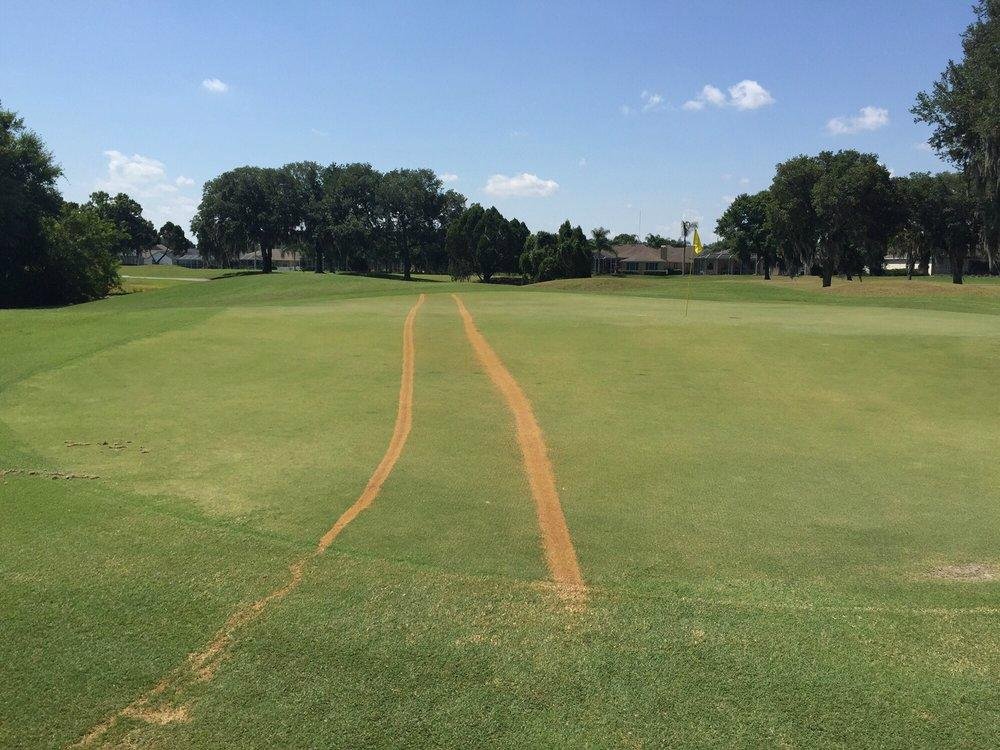 Bloomingdale Golfers Club (Valrico) All You Need to Know BEFORE You Go