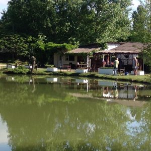 View of the bar