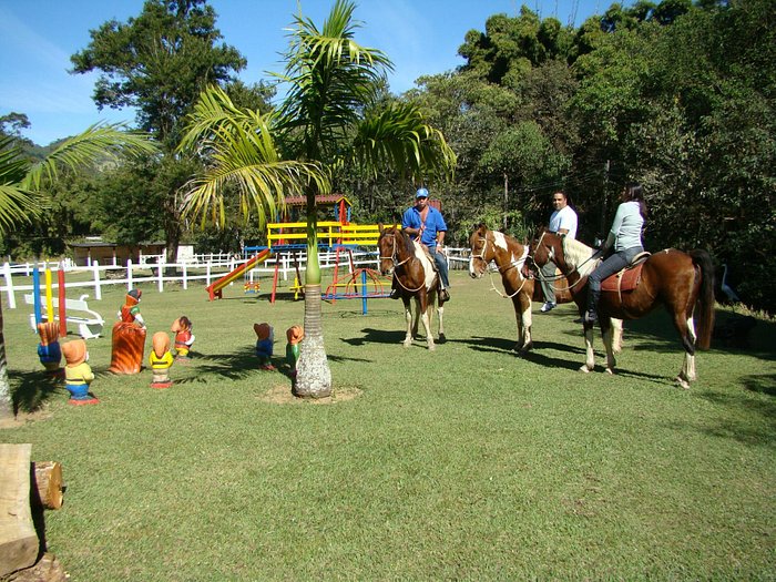 Horse Guide  Indaiatuba SP