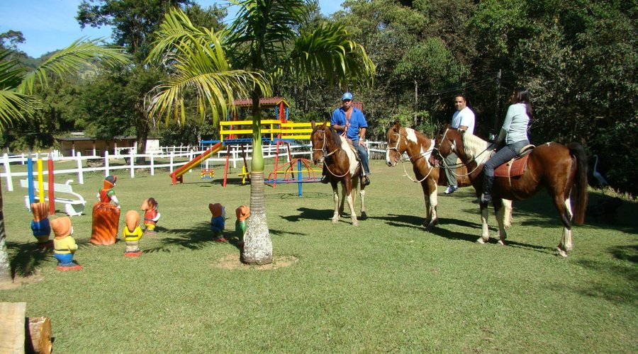 Cavalos para passeio