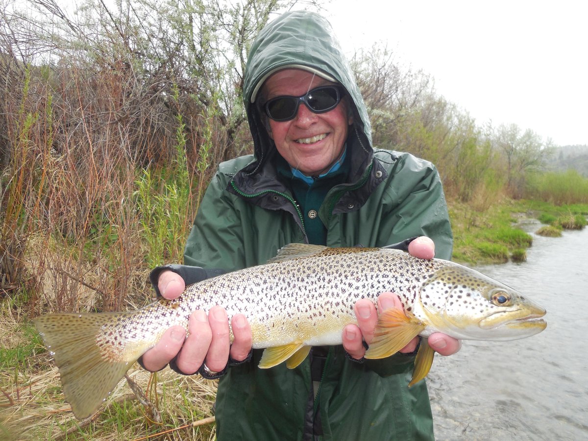 Montana Trout Wranglers - All You Need to Know BEFORE You Go (2024)