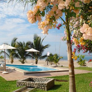 Alberca / Swimming Pool