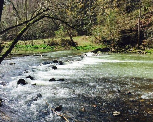 The 15 Best Things To Do In Ringgold Ga 23 With Photos