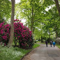 A selection of photos of the park in late May.