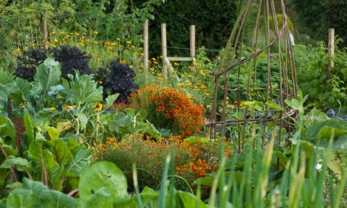 The Kitchen Garden at RHS Garden Harlow Carr