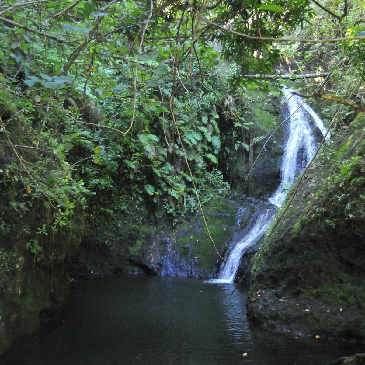 Papua ( Wigmore's) Waterfall (Rarotonga) - All You Need to Know BEFORE ...