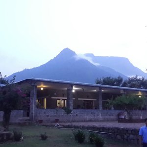 Wild Haven
