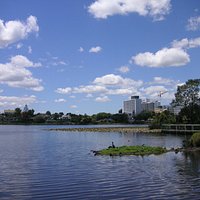 Lake Rotoroa, Hamilton