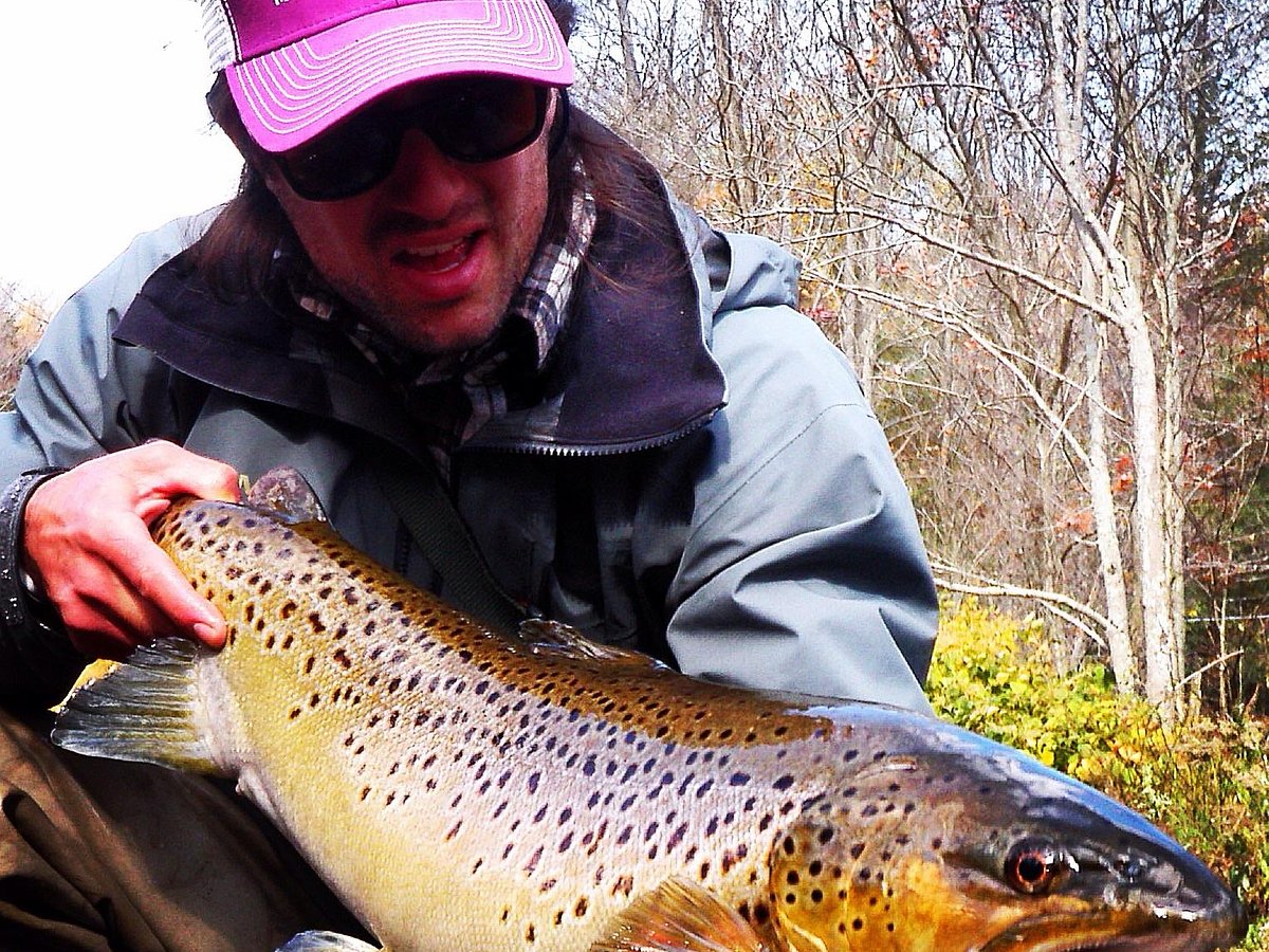 Skinny water, big trout 💛🧡🤎 sight fishing for the win! Great day with my  fellow river rat @fly_fishingmaster #flyfishing #bro