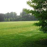Parco