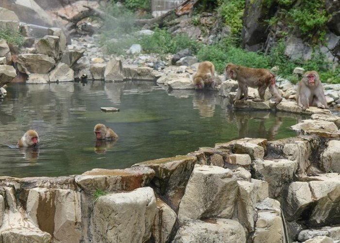 Hot Spring Bath