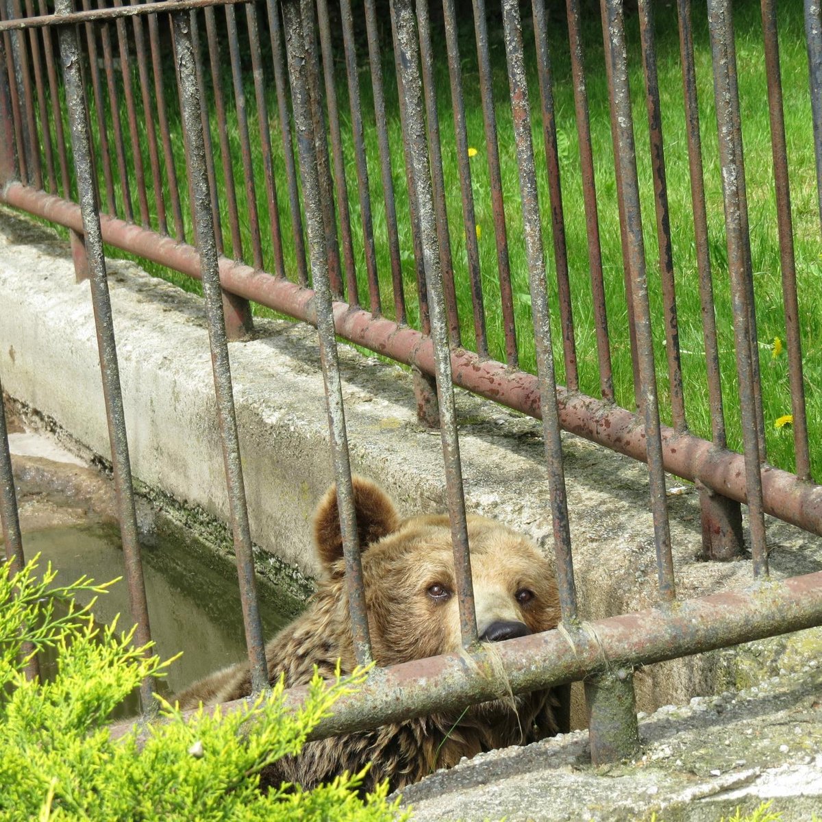 Zoo Spisska Nova Ves, Спишска-Нова-Вес: лучшие советы перед посещением -  Tripadvisor