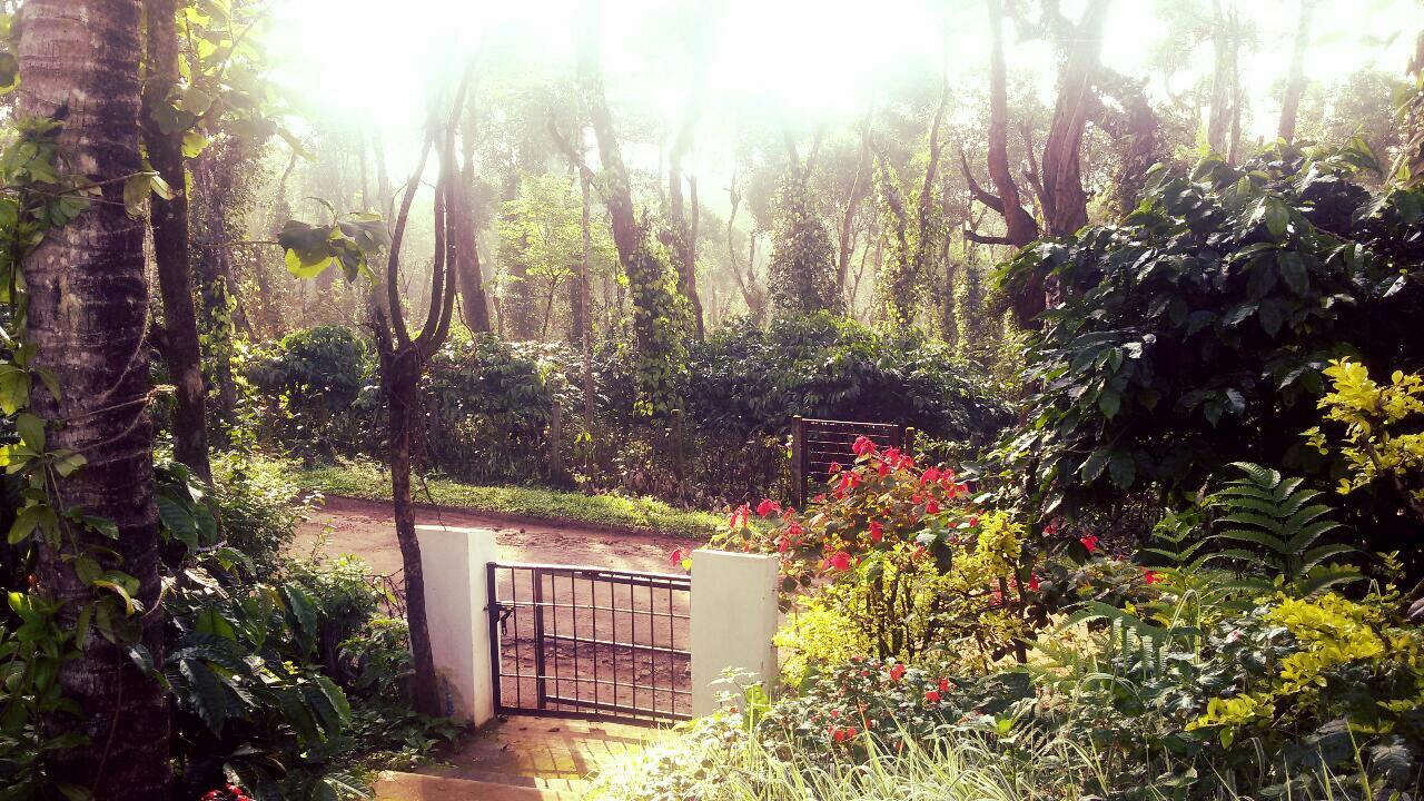 Hotel photo 94 of The Blue Mountains Estate Stay.