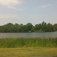The lake