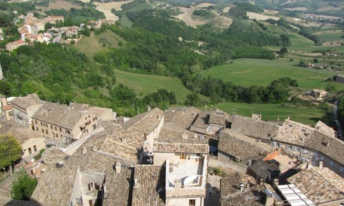 View from Bell Tower