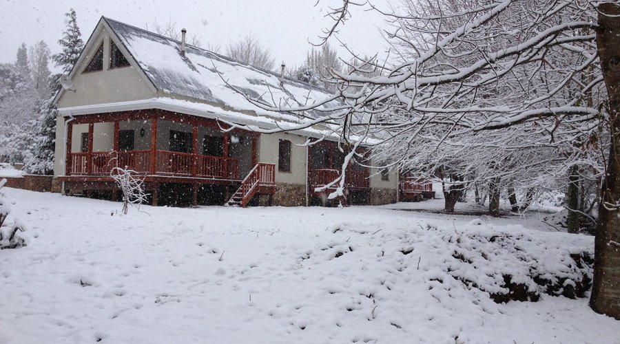 Winter wonderland