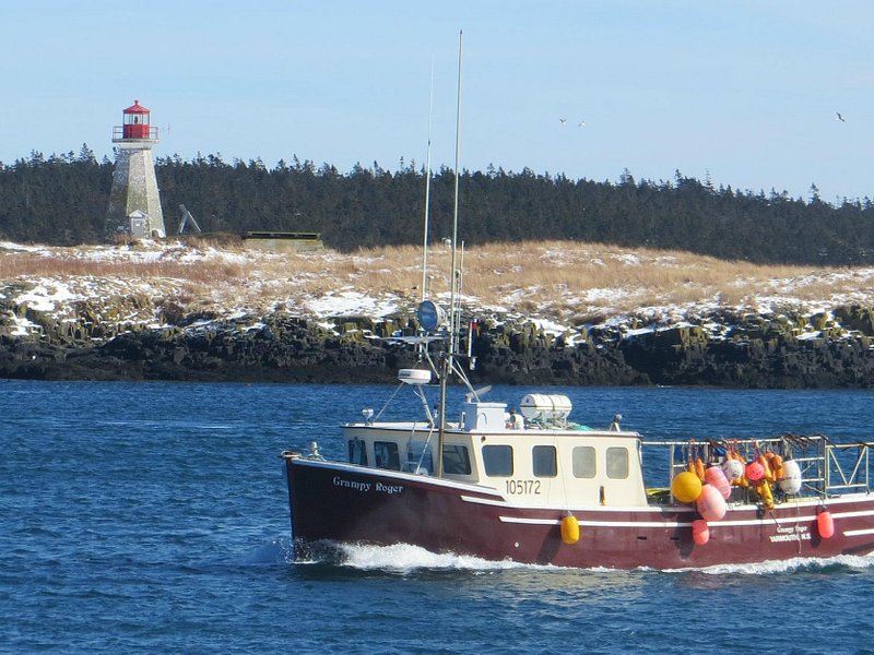 Meilleurs endroits à visiter Oak Island, Canada 2024 Tripadvisor