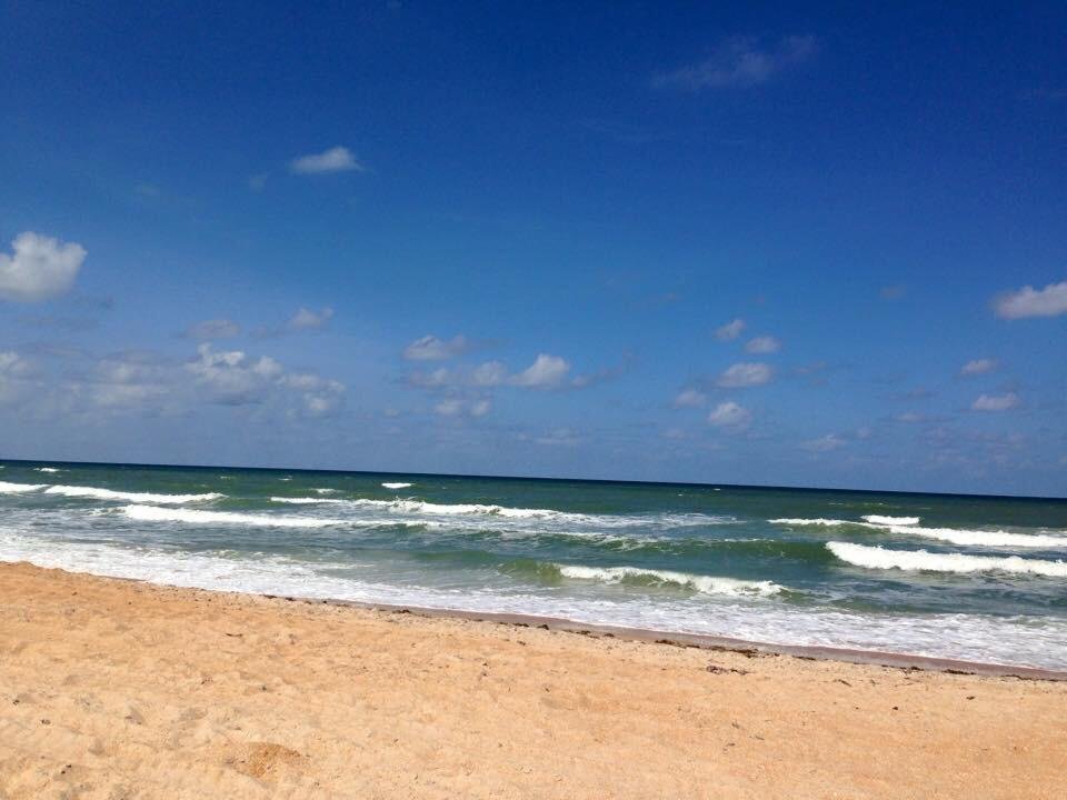 Flagler Reef (Flagler Beach, FL) - Review - Tripadvisor