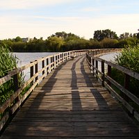 One of the boardwalks