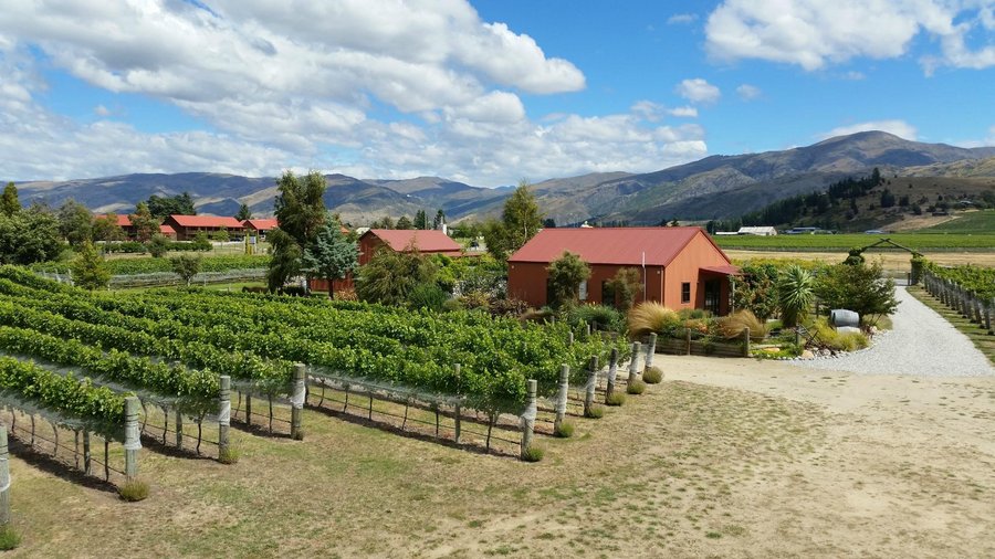 View from tasting room