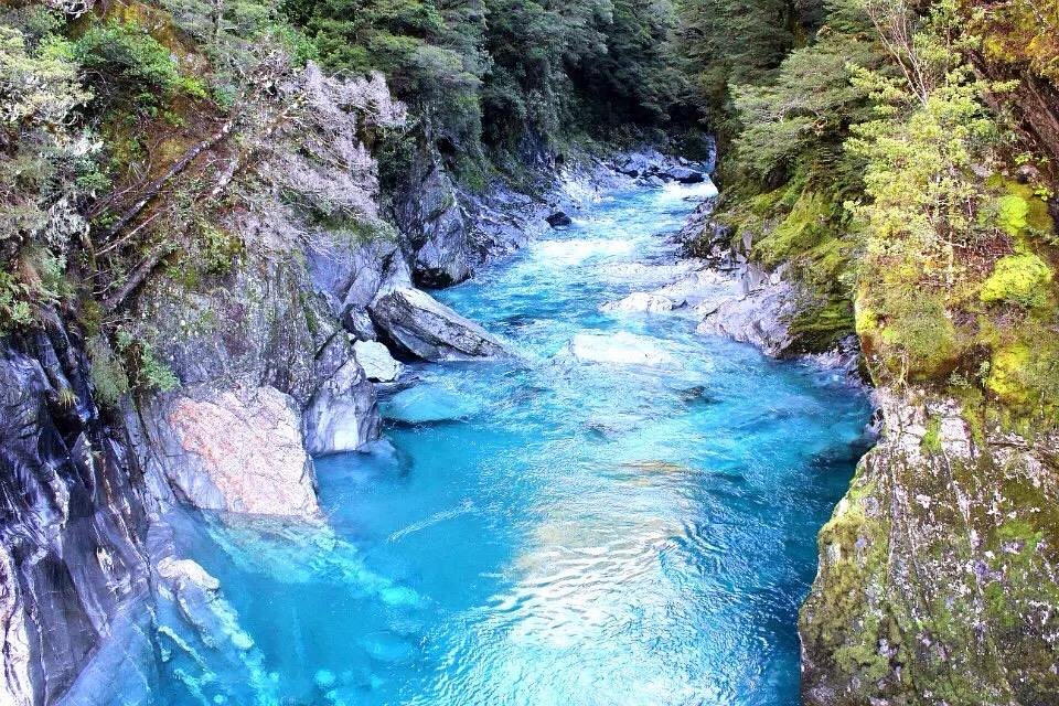 Mount aspiring National Park.