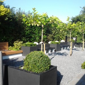 Terras