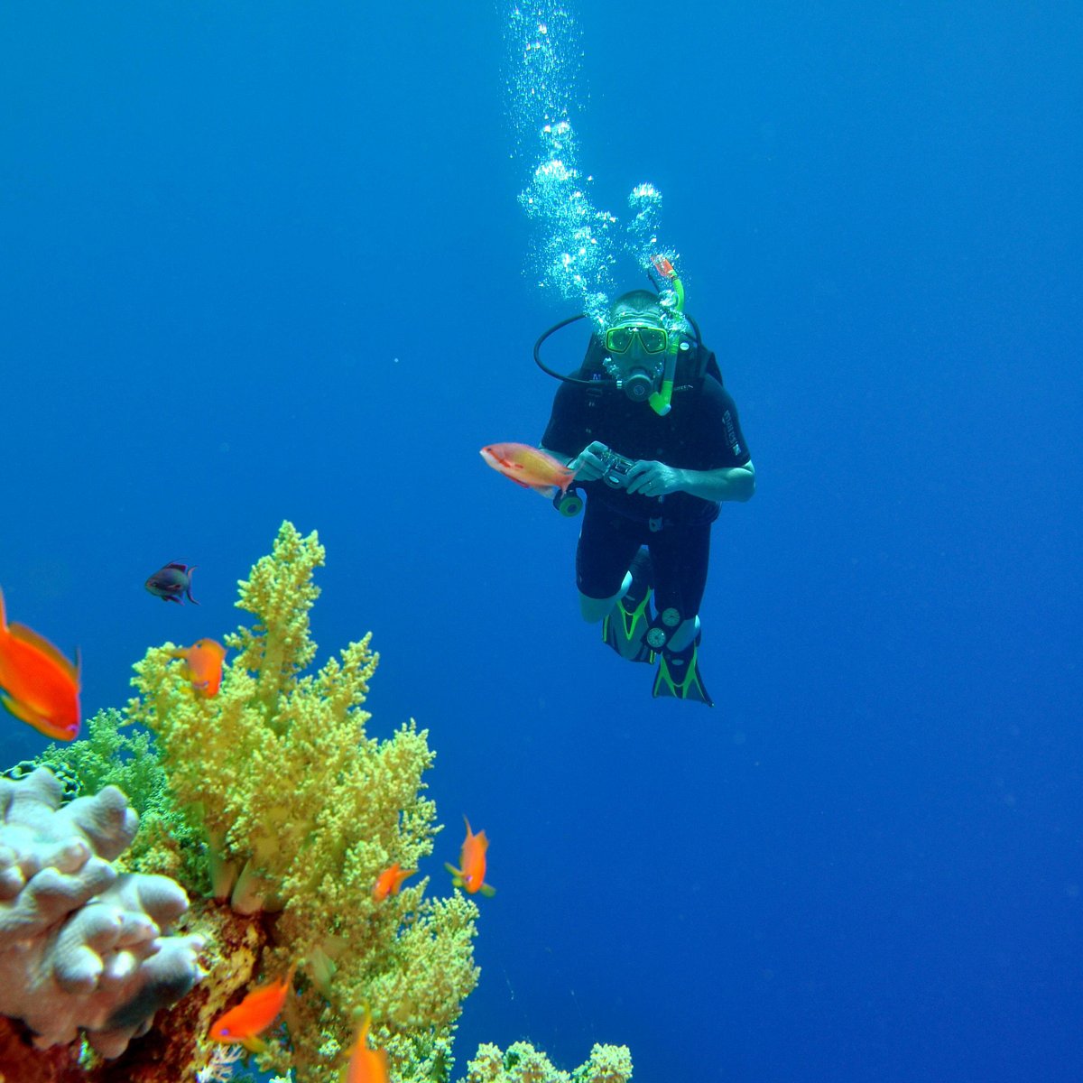 Diving in Sharm el Sheikh, Шарм-эль-Шейх: лучшие советы перед посещением -  Tripadvisor