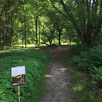 Arcadia Wildlife Sanctuary