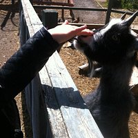 shawna makes a new friend!