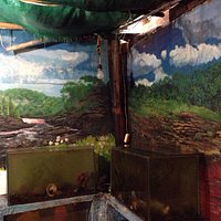 Fraude de lugar. No entren, no vale la pena ni los 3 dólares. Mal estado, sin peces. El único pe