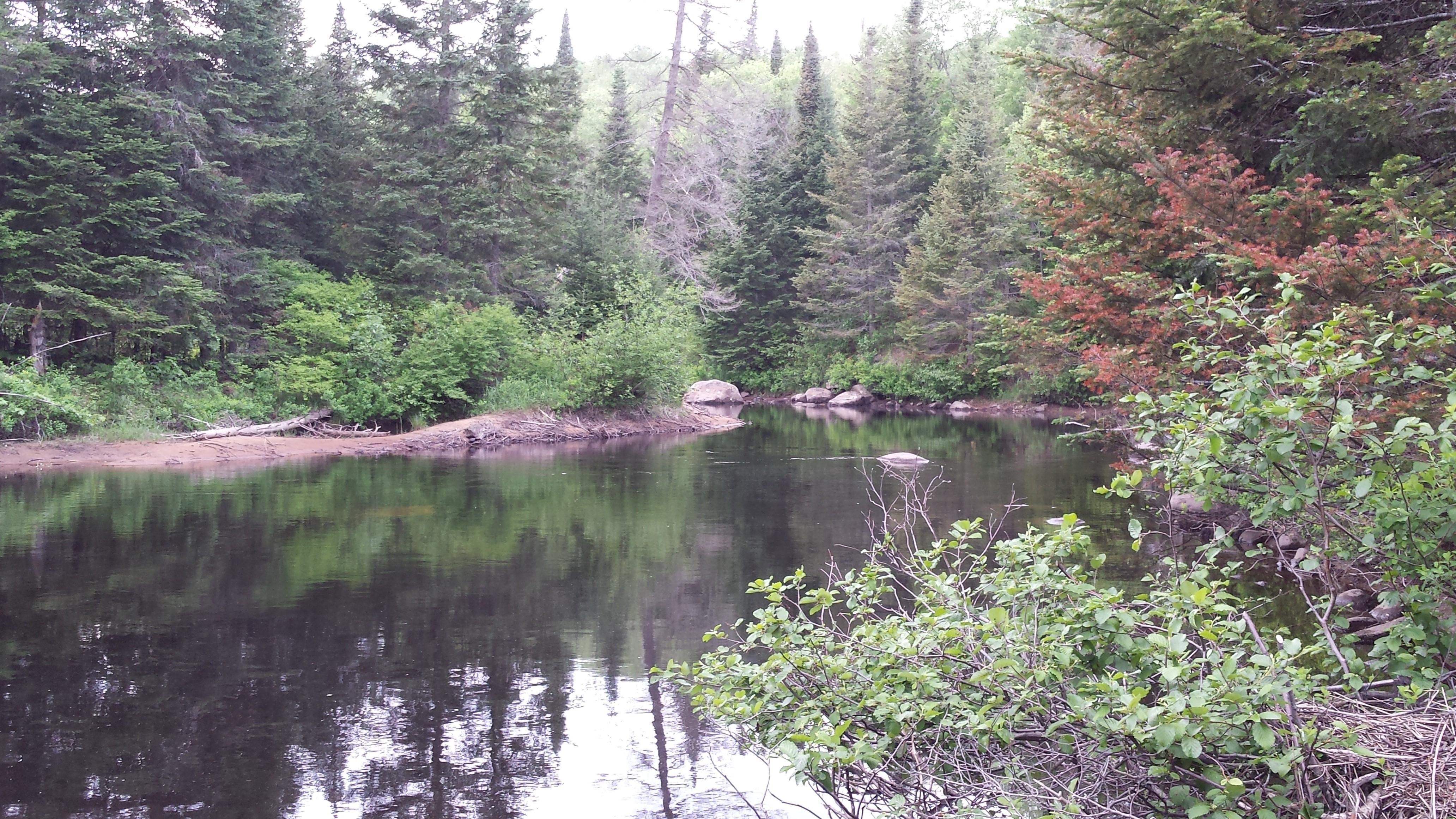 Oswegatchie River, Adirondack: лучшие советы перед посещением - Tripadvisor